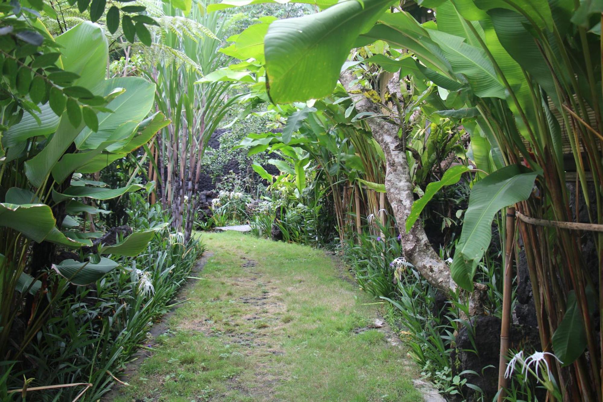 Geopark Village Kintamani Exterior foto